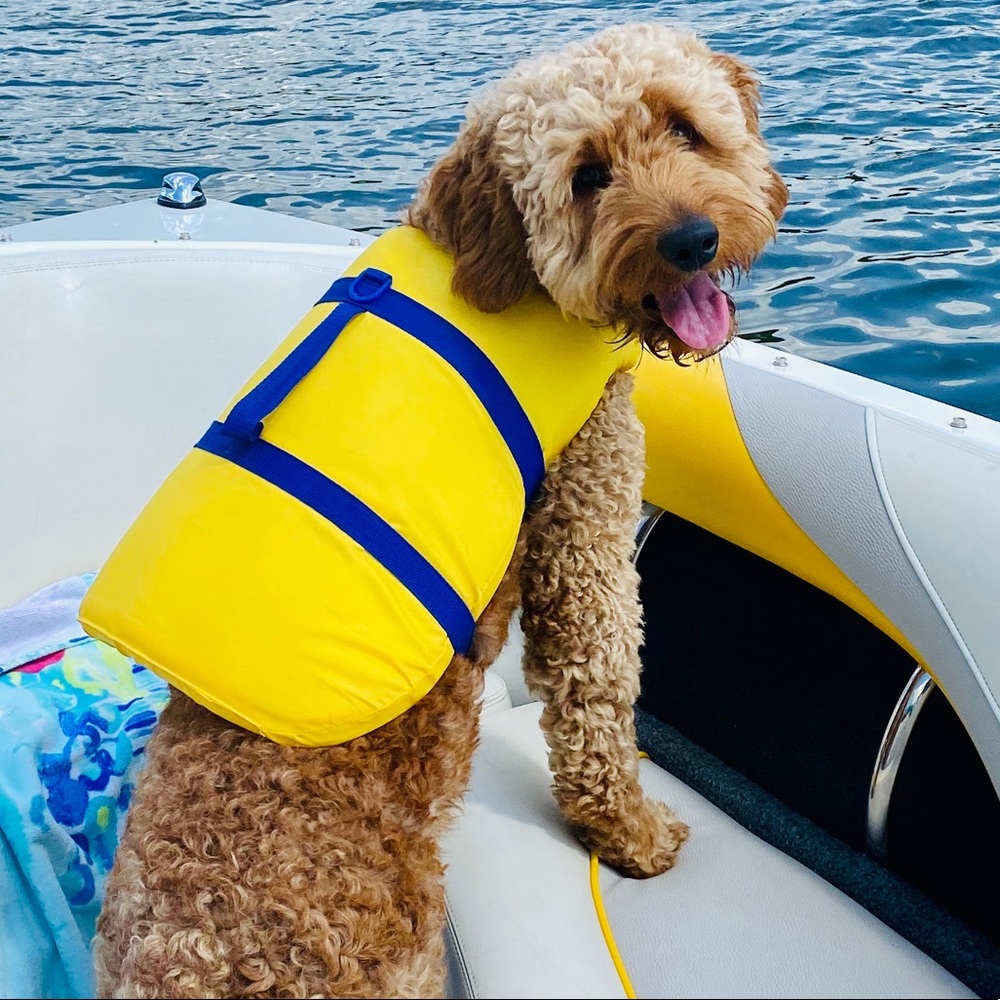 Meet your Posher, Leo